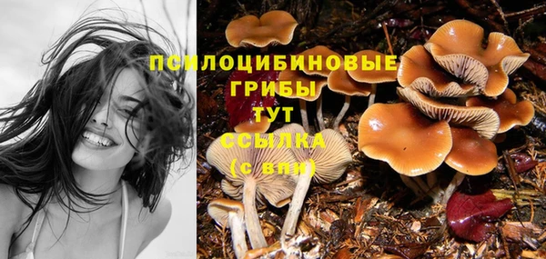 альфа пвп Бугульма