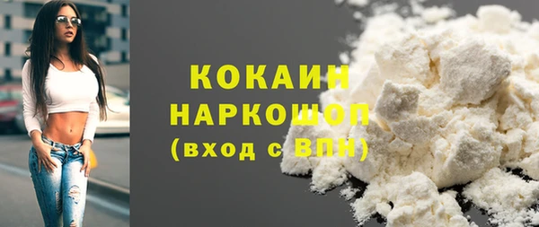бошки Бородино