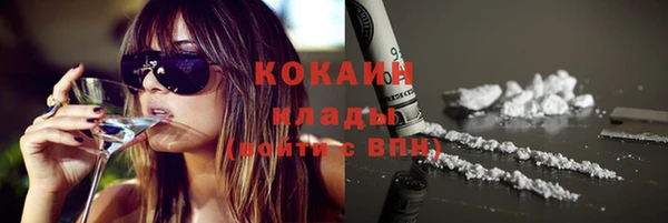 бошки Сатка