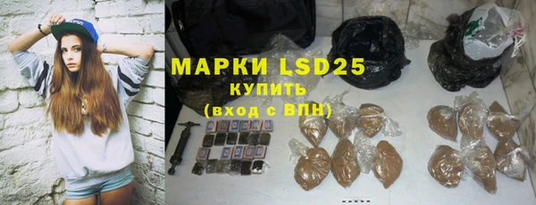 бошки Бородино