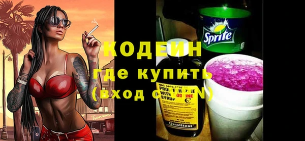бошки Бородино