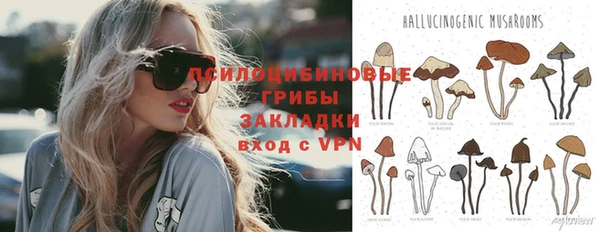 бошки Бородино
